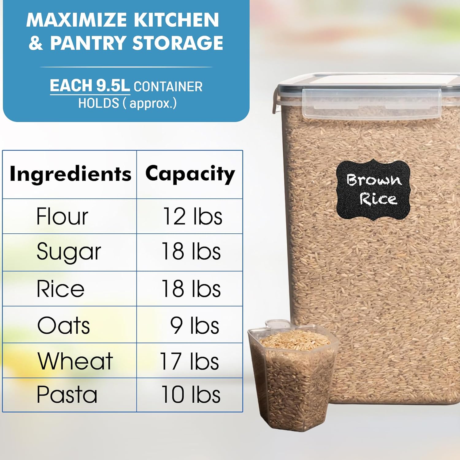 Shazo 2 PC (9.5L | 321 Oz) Extra Large Bulk - Food Storage Containers - Shazo Shop