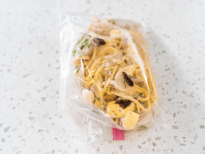 Can Roaches Suffocate in a Bag? Here's What Actually Keeps Them Out of Your Food