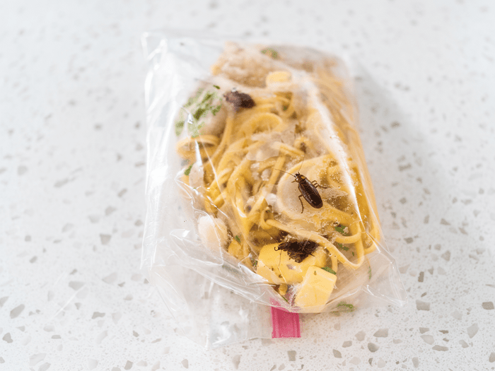 Can Roaches Suffocate in a Bag? Here's What Actually Keeps Them Out of Your Food